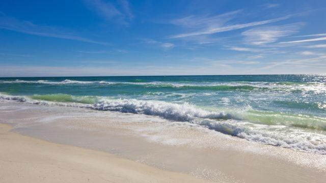 117 Palm Dr - Palm Breezy Holiday home Panama City Beach