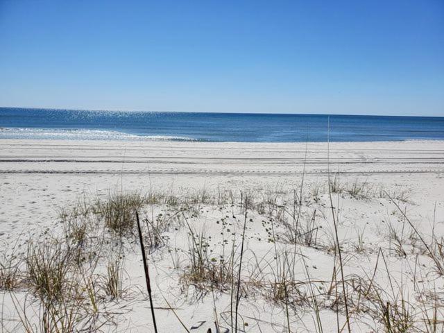 117 Palm Dr - Palm Breezy